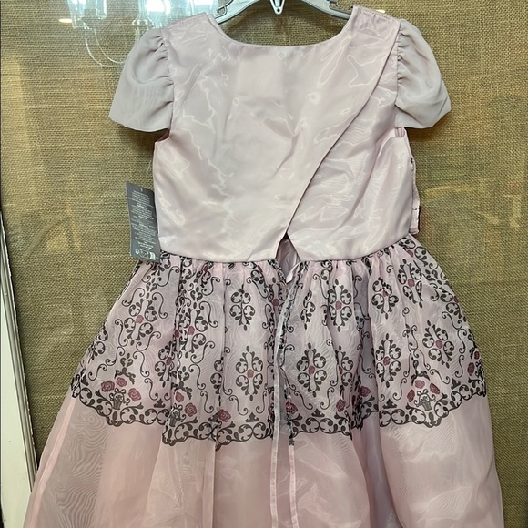 🎀Disney Princess Aurora/ Sleeping Beauty Pink Floral Embroidered Party Dress - Picture 6 of 10